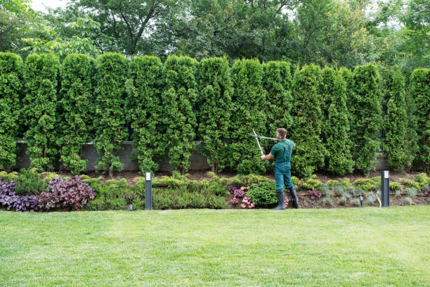 Best Tree Risk Assessment  in Hobe Sound, FL